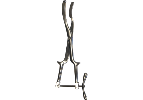 FORCEPS CRANIOCLASTE BRAUN